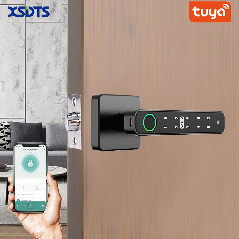 Smart Home Design - XSDTS Tuya Handle Fingerprint Key Card
