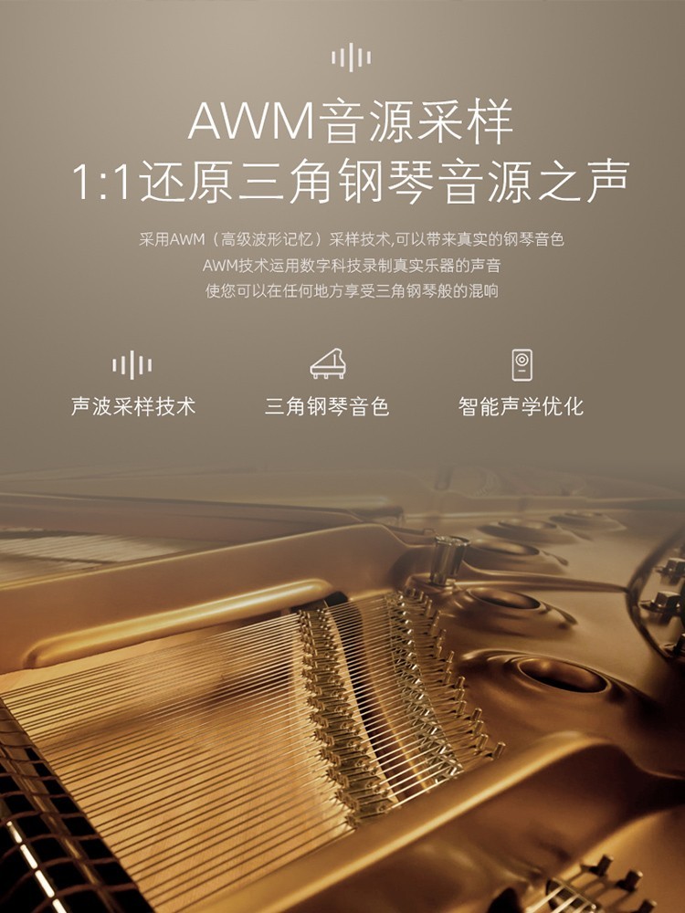 Grand Piano 88-Key Weighted Sm - đánh giá và giá Smart Home Key