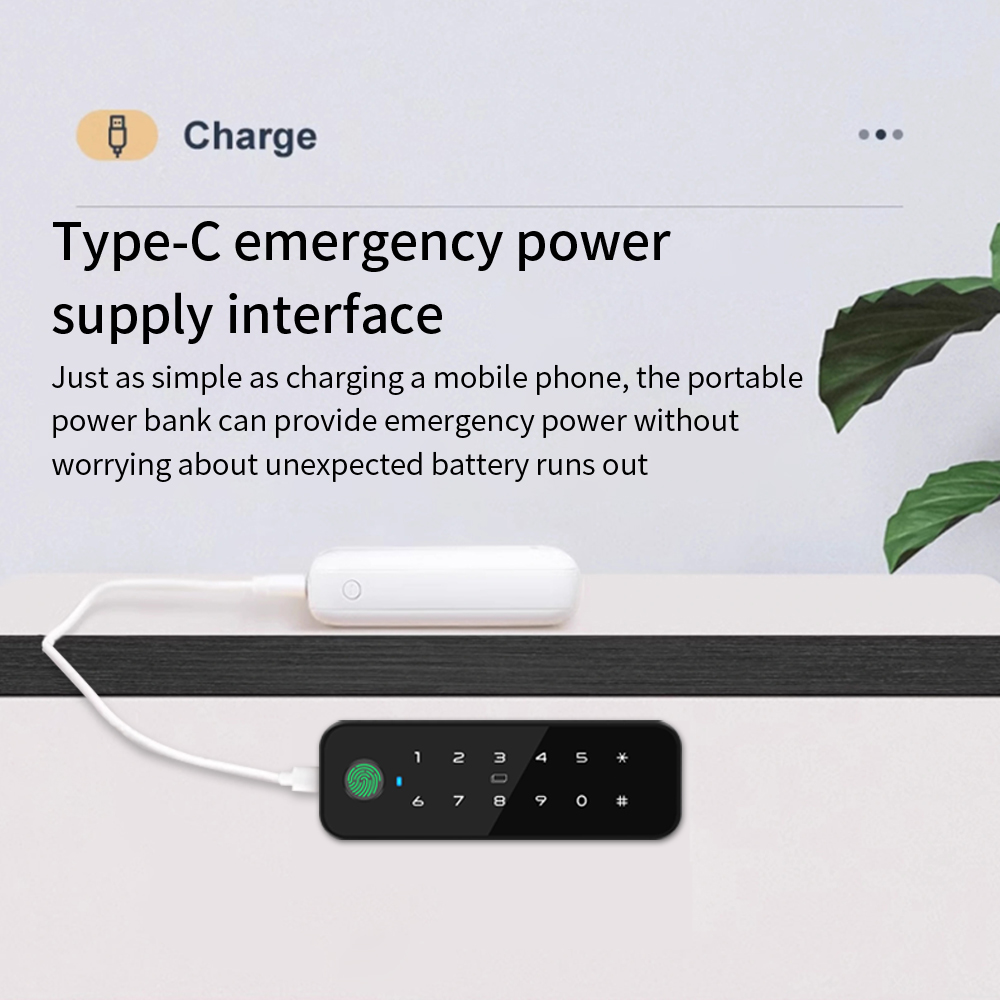 Tuya Bluetooth Smart Wood Cabi - đánh giá và giá Smart Home Key